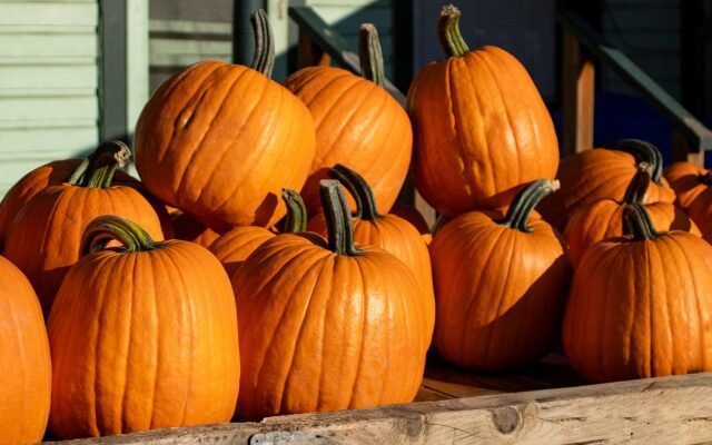 Am Grünmarkt im Oktober: Woran Sie erkennen, dass etwas wirklich aus der Region kommt