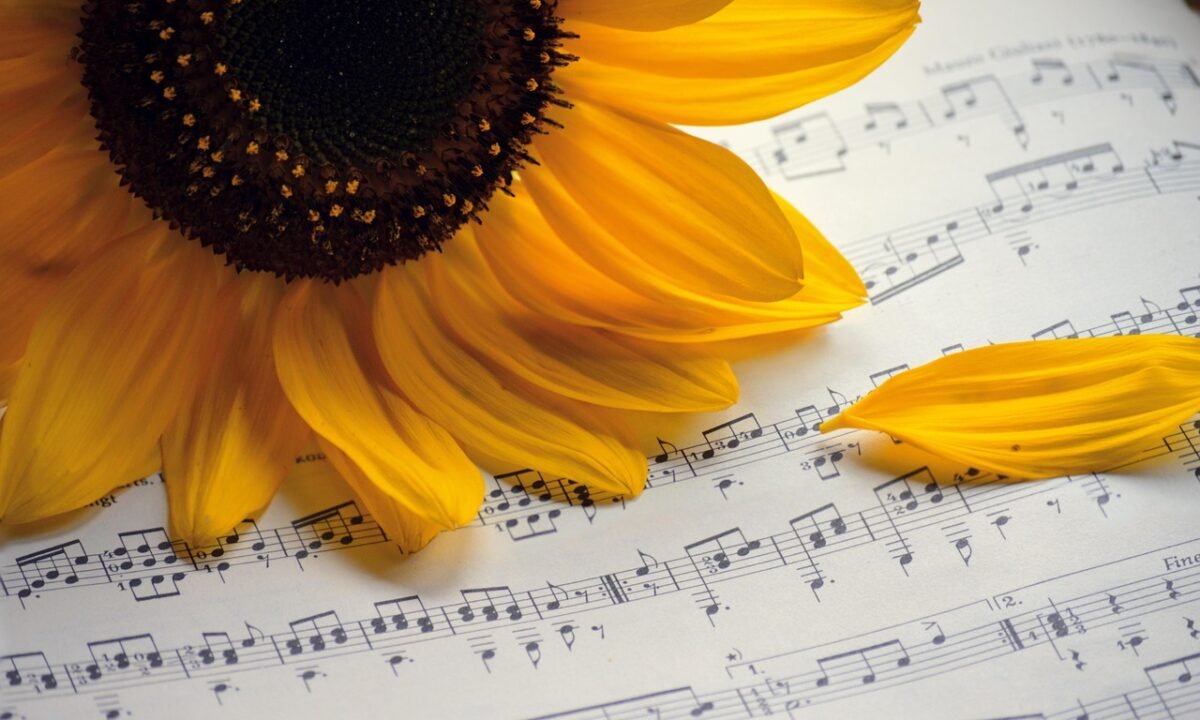 Sommerabende im Freien: Warum Open-Air in Salzburg immer ein kleines Risiko ist